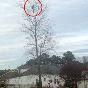 ��6�q��ͯ����15�ט�� ���ȆT�����ؙC�������