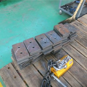 2018111102 ���������^