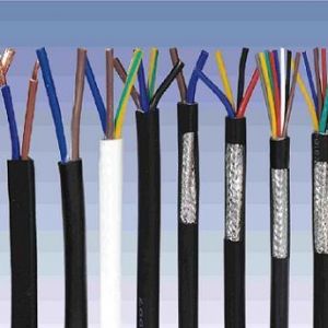 ������|����|���N��е�һ�N��ʲô�ǿ�����|��